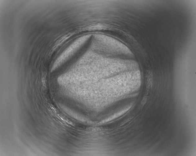 X0000085801217200703301449