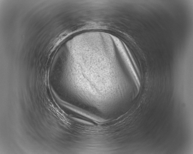 X0000085801220200703301449