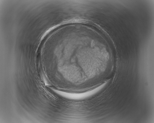 X0000085801222200703301449