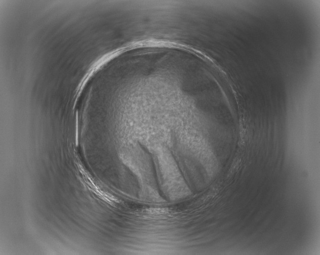 X0000085801223200703301449