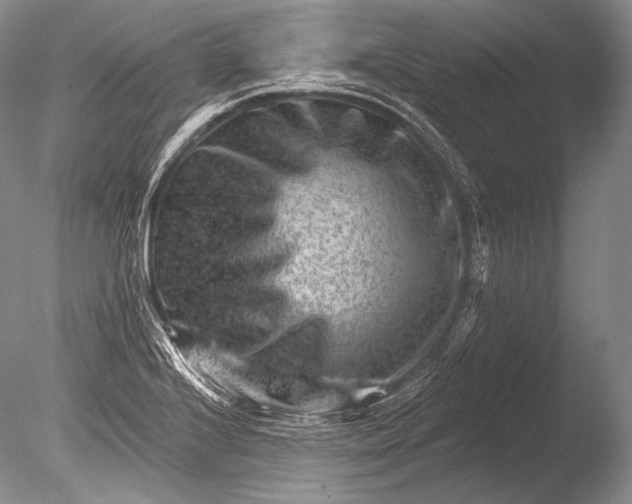 X0000085801224200703301449