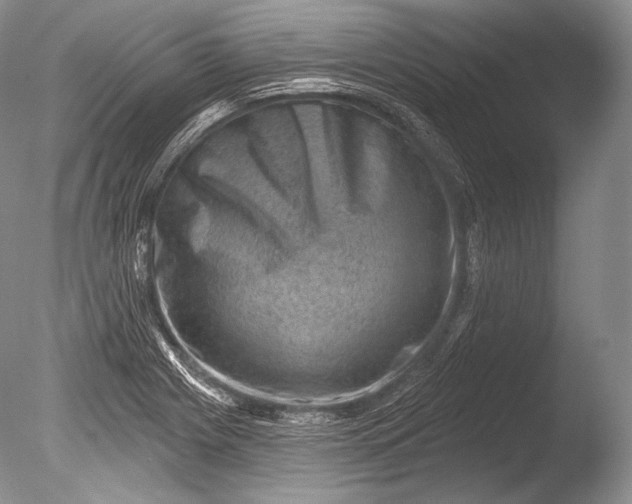 X0000085801225200703301449