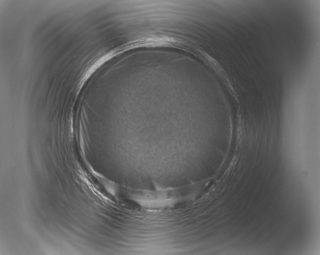 X0000085801226200703301449