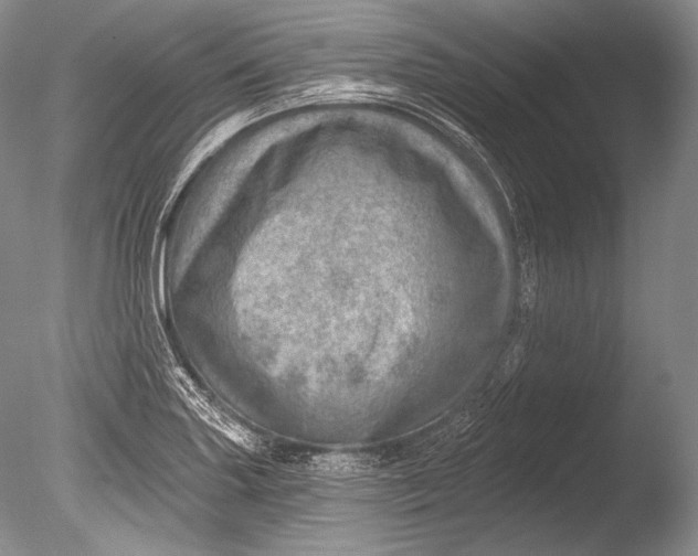 X0000085801227200703301449