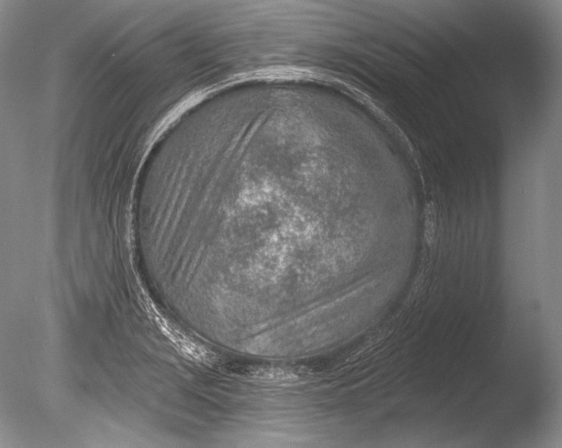 X0000085801229200703301449