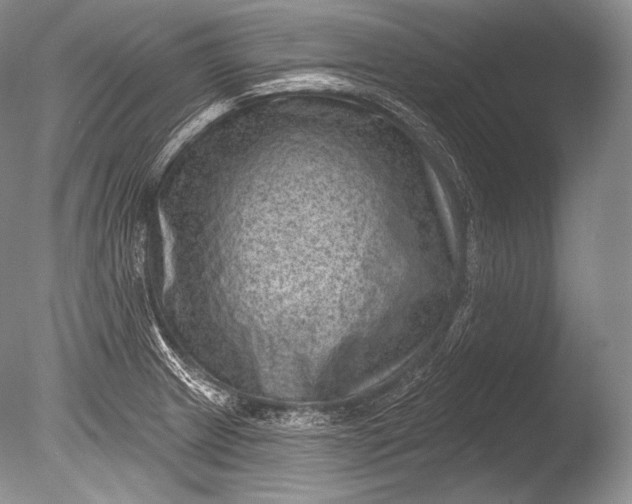 X0000085801233200703301449