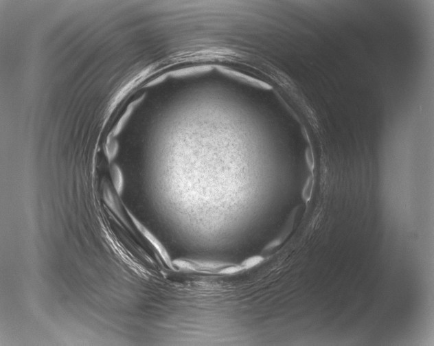 X0000085801234200703301449