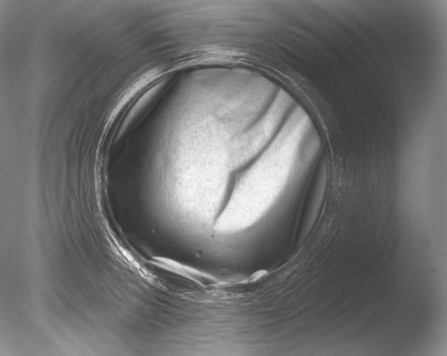 X0000085801235200703301449