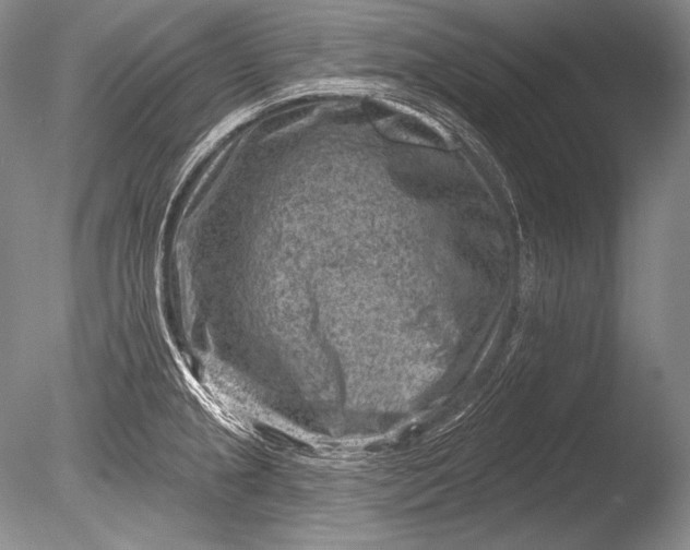 X0000085801237200703301450