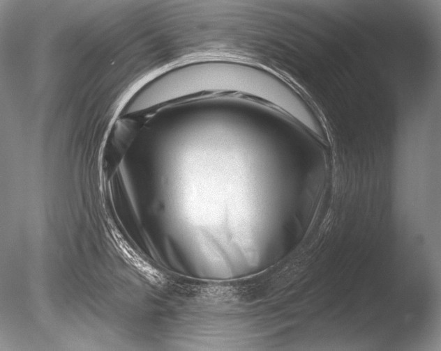 X0000085801238200703301450