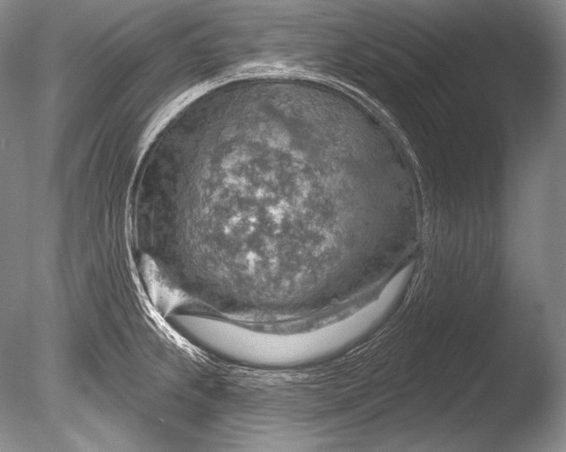 X0000085801239200703301450