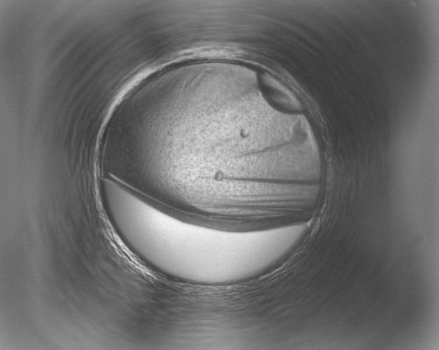 X0000085801240200703301450