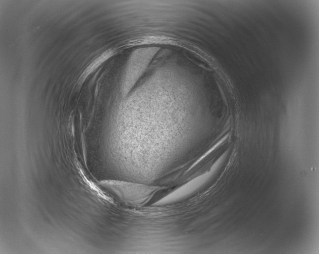 X0000085801241200703301450