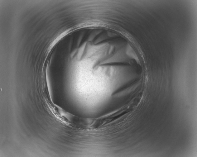 X0000085801242200703301450