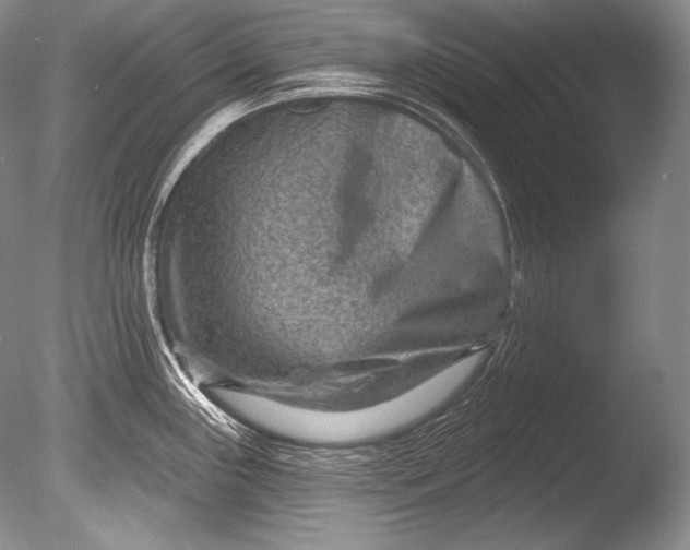 X0000085801243200703301450