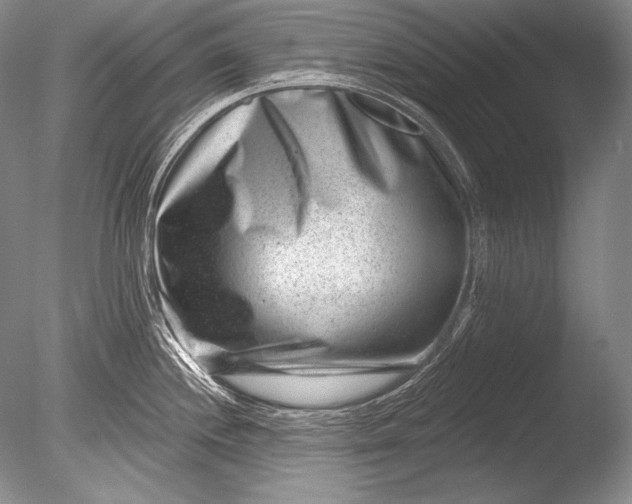 X0000085801244200703301450