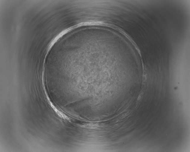 X0000085801245200703301450