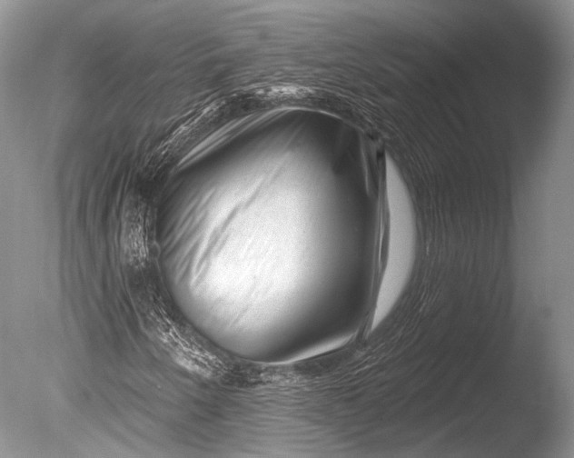 X0000085801250200703301449