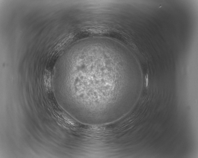 X0000085801251200703301449