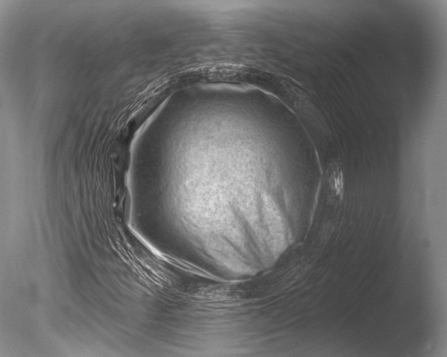 X0000085801252200703301449