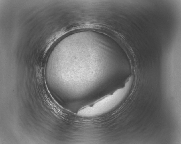 X0000085801260200703301449