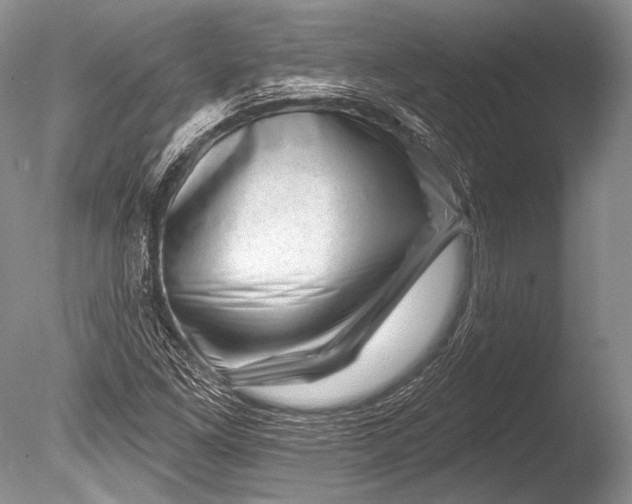 X0000085801261200703301449