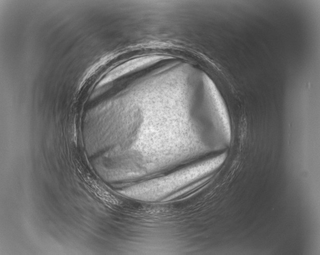 X0000085801262200703301449