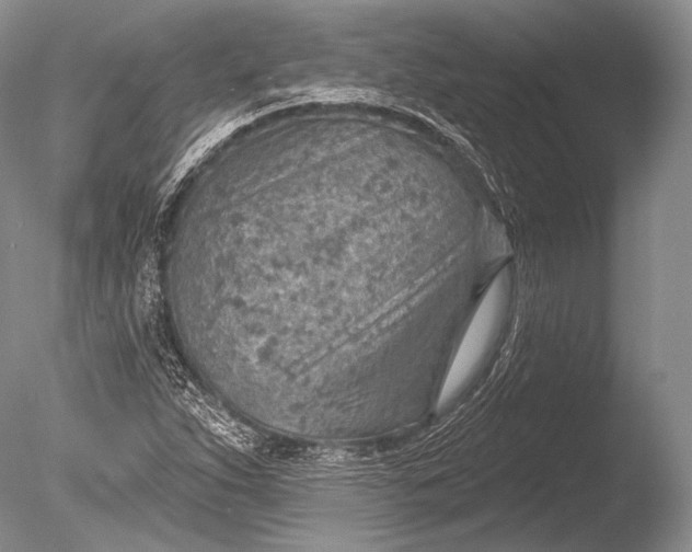 X0000085801263200703301449