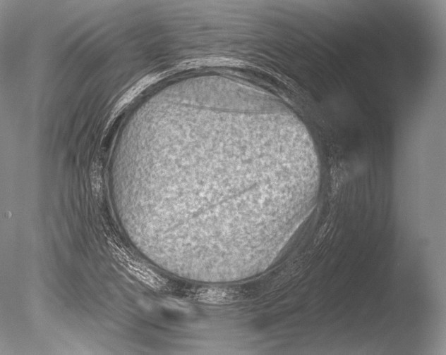 X0000085801266200703301449