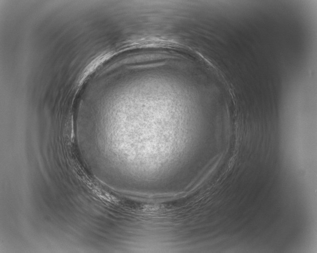 X0000085801267200703301449