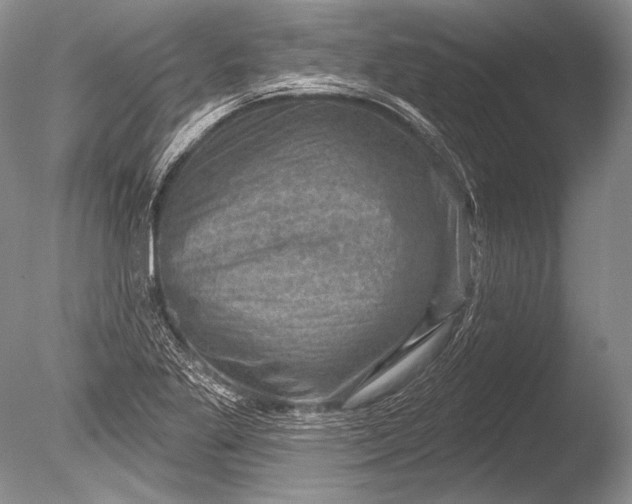 X0000085801269200703301449