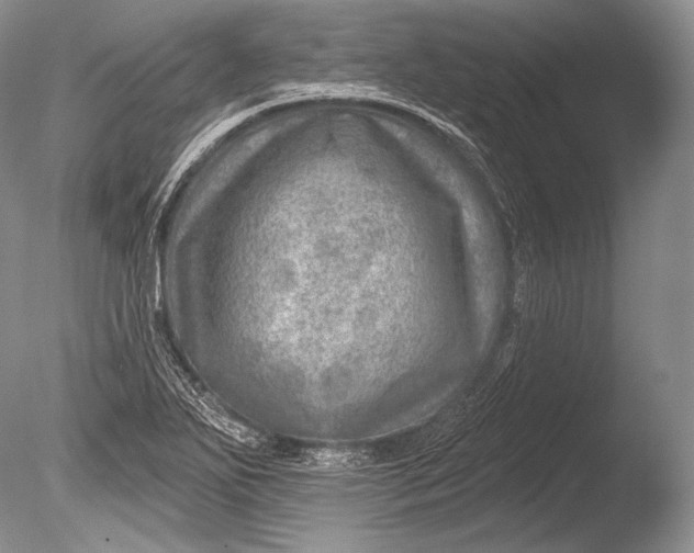 X0000085801271200703301448