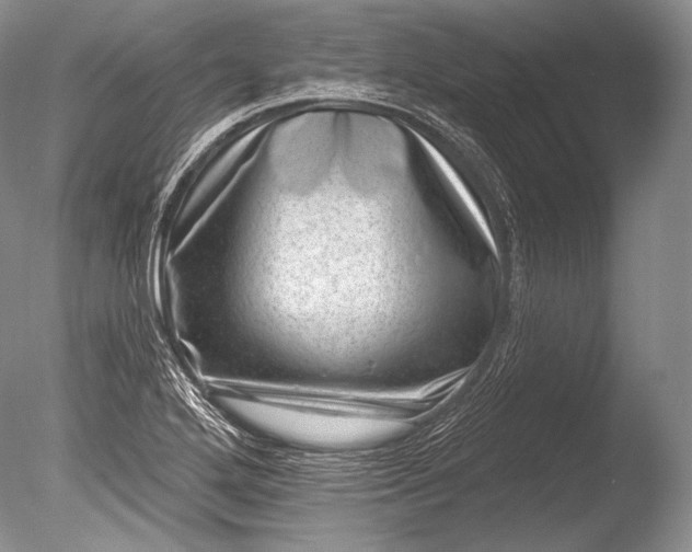 X0000085801272200703301448