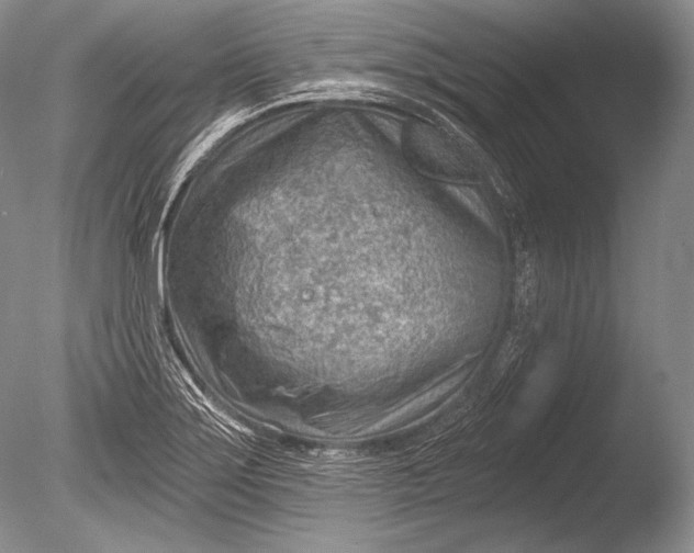 X0000085801275200703301448