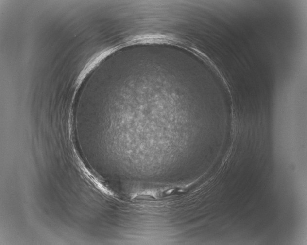 X0000085801277200703301448