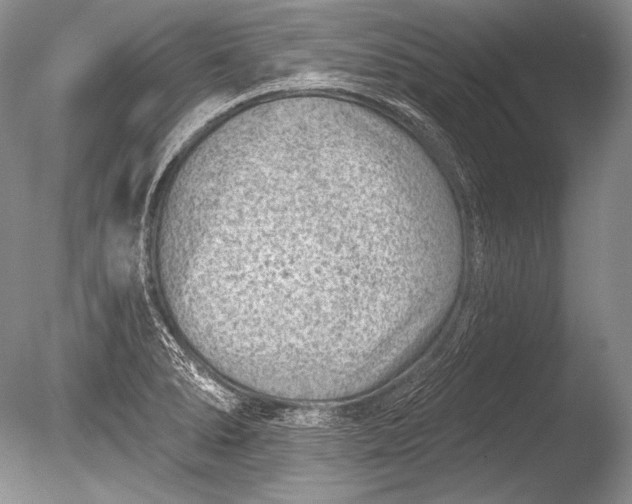 X0000085801278200703301448