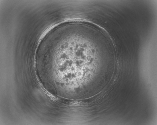 X0000085801279200703301448