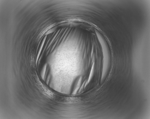 X0000085801281200703301448