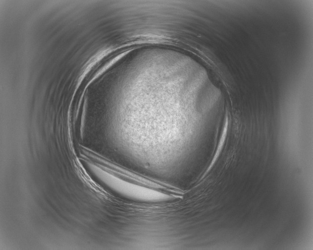 X0000085801283200703301448