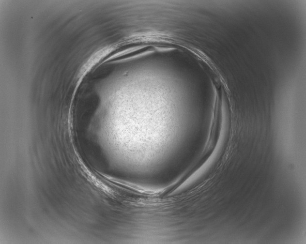 X0000085801285200703301448