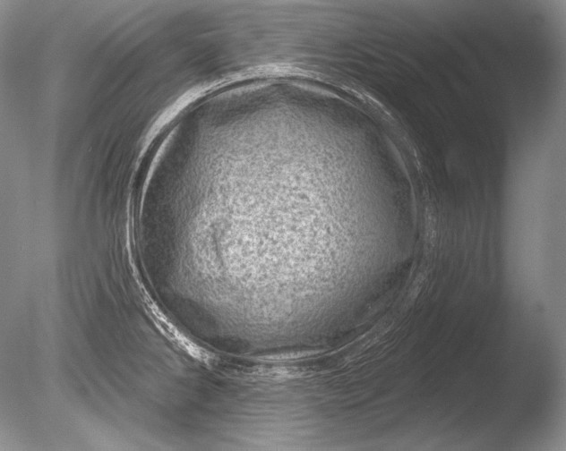 X0000085801286200703301448