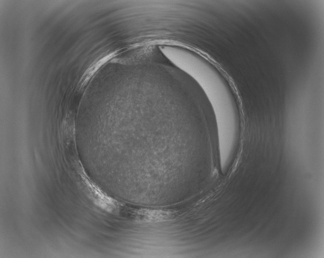 X0000085801289200703301448