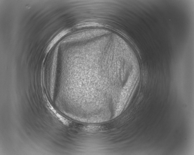 X0000085801290200703301448