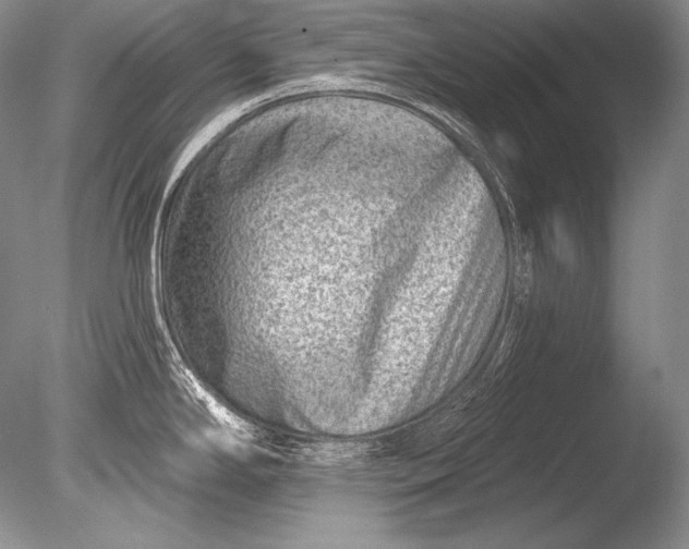 X0000085801294200703301448