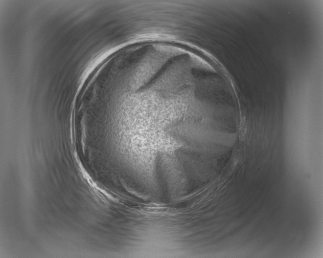 X0000085801295200703301448