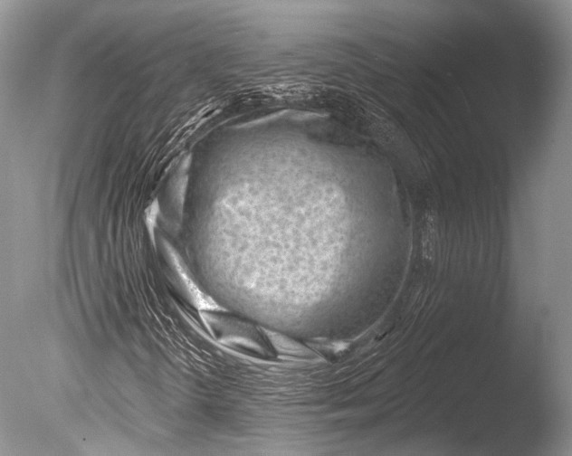 X0000085801298200703301447