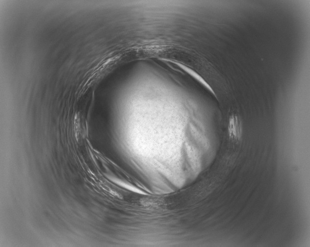 X0000085801299200703301447