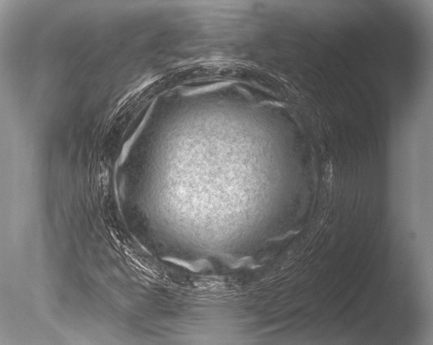 X0000085801302200703301447