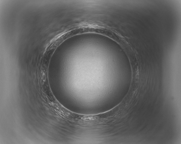 X0000085801303200703301447