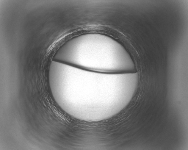 X0000085801304200703301447